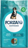 FORZA10 Maintenance Adult Maxi Fish (Pesce) 26/13 повседневный для взрослых собак Крупных пород Крупных пород РЫБА (12 кг)