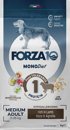 FORZA10 Diet Adult MEDIUM Dog Lamb (Agnello) 24/12 гипоаллергенный низкозерновой корм для взрослых собак Средних пород ЯГНЕНОК (12 кг)