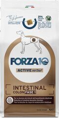 FORZA10 Active Line INTESTINAL Colitis Fase 1 Canine вет.диета для взрослых собак для профилактики колитов и заболеваний поджелудочной железы Стадия-1 ИНТЕСТИНАЛ КОЛИТИС (10 кг)